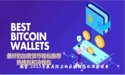  揭密：2023年最具潜力的区块链隐私保护项目