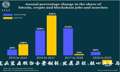  区块链龙头蓝盾股份全景剖析：发展历程、核心业务与市场前景