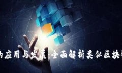 区块链技术的应用与发展：全面解析类似区块链