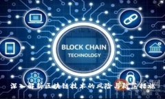 深入解析区块链技术的风险与防范措施