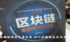 探索区块链协会会员权益：加入区块链生态的多