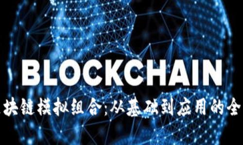 探索区块链模拟组合：从基础到应用的全面解析