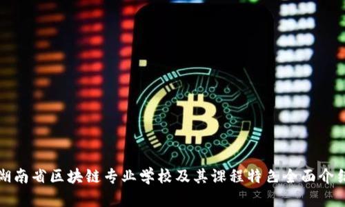 湖南省区块链专业学校及其课程特色全面介绍