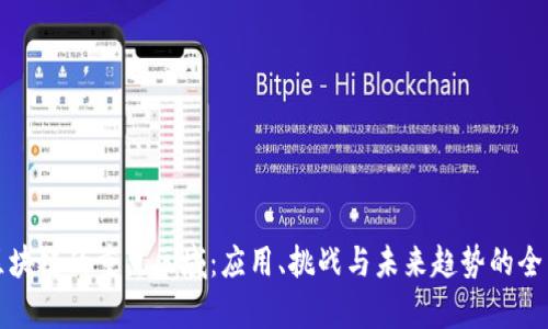 探索区块链的重点区域：应用、挑战与未来趋势的全面分析