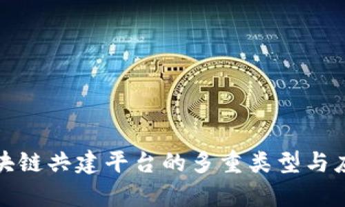 探索区块链共建平台的多重类型与应用前景