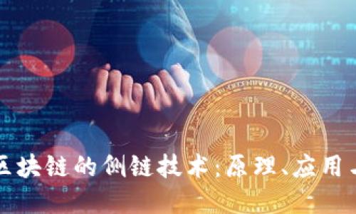 深入探究区块链的侧链技术：原理、应用与未来发展