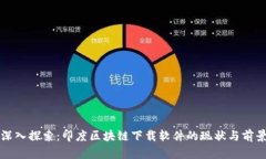 深入探索：印度区块链下载软件的现状与前景
