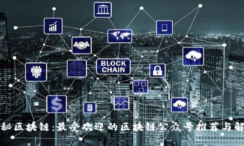 揭秘区块链：最受欢迎的区块链公众号推荐与解析