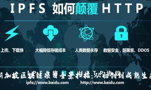 新加坡区块链项目全景扫描：从初创到成熟生态