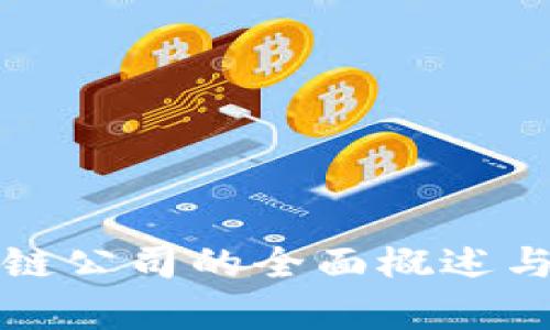海南牛津区块链公司的全面概述与行业前景分析