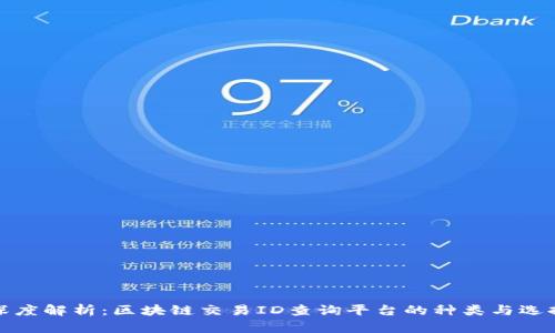 深度解析：区块链交易ID查询平台的种类与选择