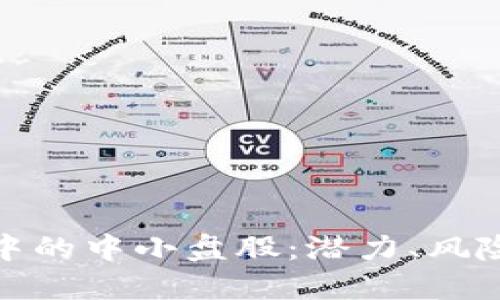 揭秘区块链中的中小盘股：潜力、风险与投资策略