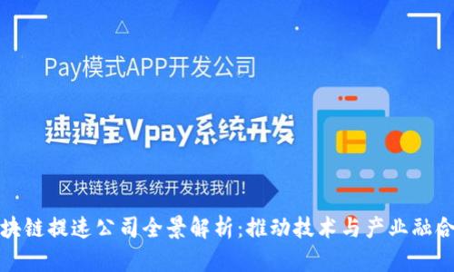 深圳区块链提速公司全景解析：推动技术与产业融合的先锋