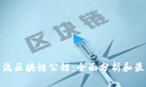 探索主流区块链公链：全面分析和最新动态