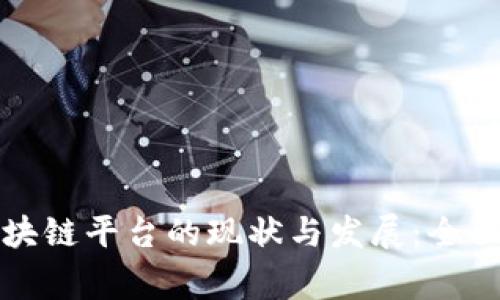 探索中国国家区块链平台的现状与发展：全面解析与前景展望