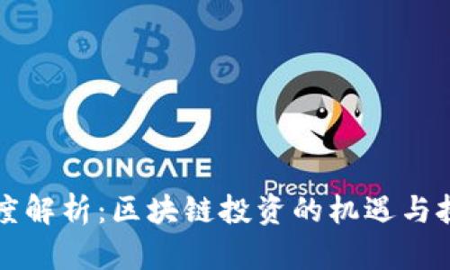 深度解析：区块链投资的机遇与挑战