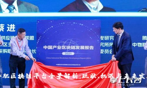 合肥区块链平台全景解析：现状、机遇与未来发展