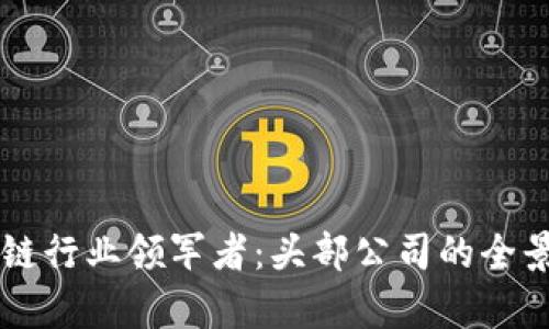 区块链行业领军者：头部公司的全景解析