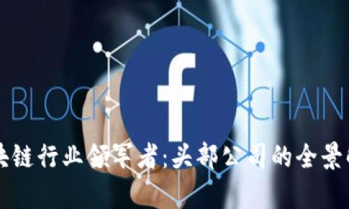 区块链行业领军者：头部公司的全景解析