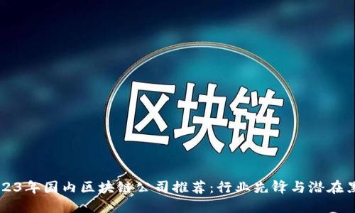 2023年国内区块链公司推荐：行业先锋与潜在黑马