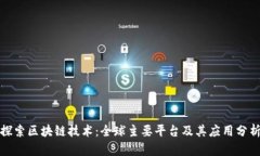 探索区块链技术：全球主要平台及其应用分析