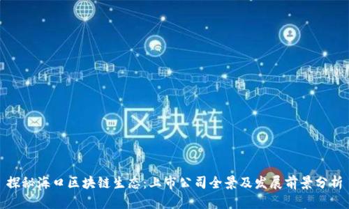 探秘海口区块链生态：上市公司全景及发展前景分析