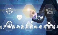 深圳区块链产业园的最新招标项目详解与发展机