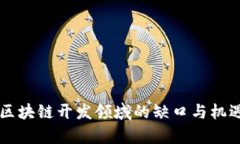 当前区块链开发领域的缺口与机遇分析