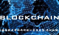 深入探索区块链技术中的两种核心算法类型：共