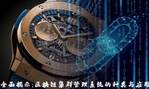 
全面揭示：区块链集群管理系统的种类与应用