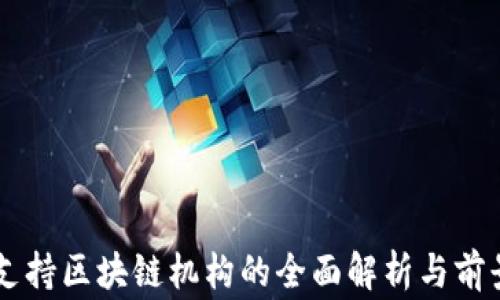 
国家支持区块链机构的全面解析与前景展望