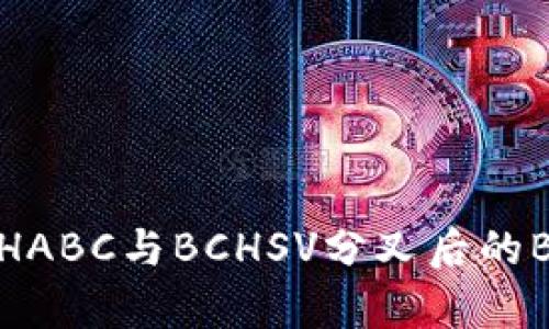 为什么ImToken不支持BCHABC与BCHSV分叉后的BCHA？深度解析与用户解读