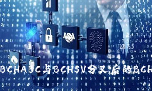 为什么ImToken不支持BCHABC与BCHSV分叉后的BCHA？深度解析与用户解读