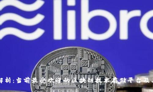 全面解析：当前最受欢迎的区块链技术存储平台及其应用