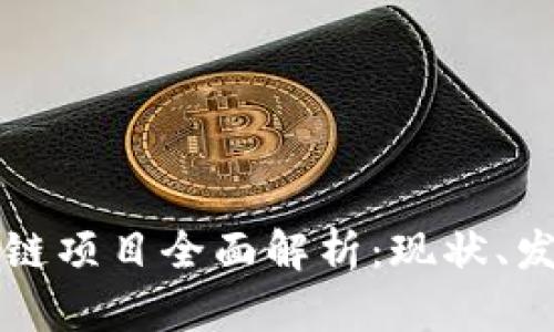 成都西南区块链项目全面解析：现状、发展与未来趋势