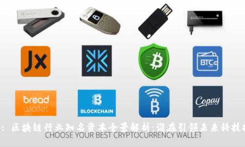 Title: 区块链行业知名资本全景解析：谁在引领未来科技投资?