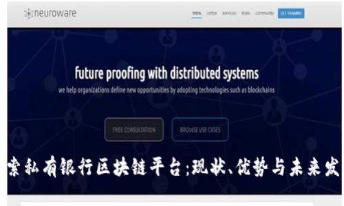 探索私有银行区块链平台：现状、优势与未来发展