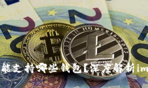 : imKey设备到底能支持哪些钱包？深度解析imToken及其他选择