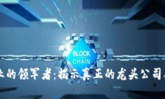 区块链行业的领军者：揭示真正的龙头公司及其