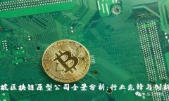 新加坡区块链原型公司全景分析：行业先锋与创