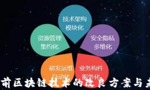 
全面解析：当前区块链技术的改良方案与未来发展方向