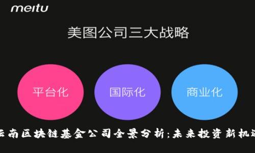 云南区块链基金公司全景分析：未来投资新机遇