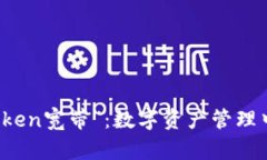 解读“imtoken宽带”：数字资产管理中的新趋势