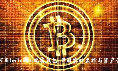 如何用imToken观察钱包：详解实时监控与资产管理