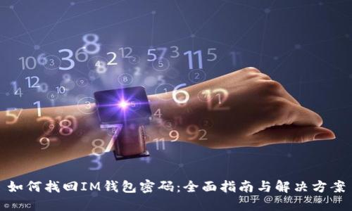 如何找回IM钱包密码：全面指南与解决方案