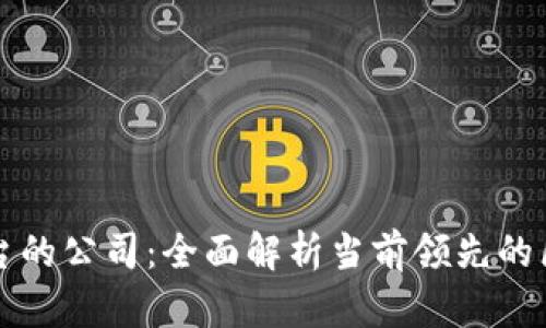 区块链保障平台的公司：全面解析当前领先的区块链安全机构