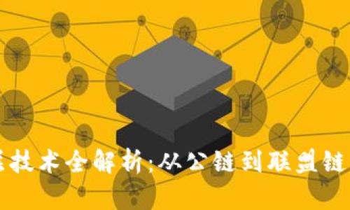 区块链底层技术全解析：从公链到联盟链的多种类型