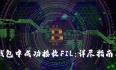 如何在IM钱包中成功接收FIL：详尽指南与注意事项